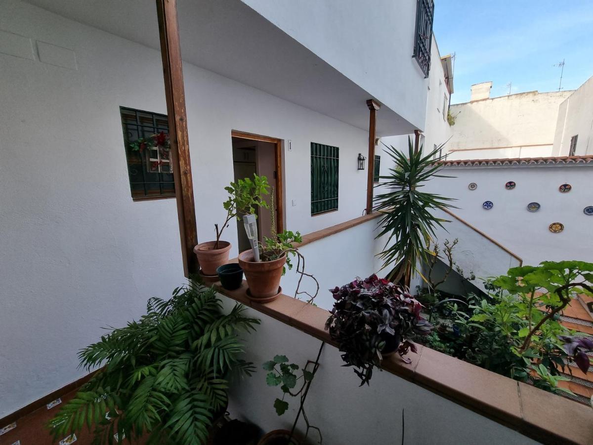 En Patio Cordobes San Basilio Cordoba